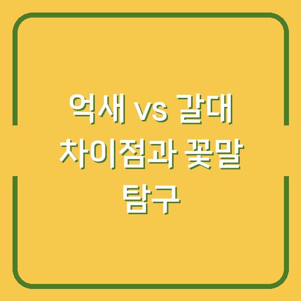 억새 vs 갈대 차이점과 꽃말 탐구