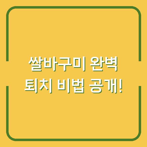 쌀바구미 완벽 퇴치 비법 공개!