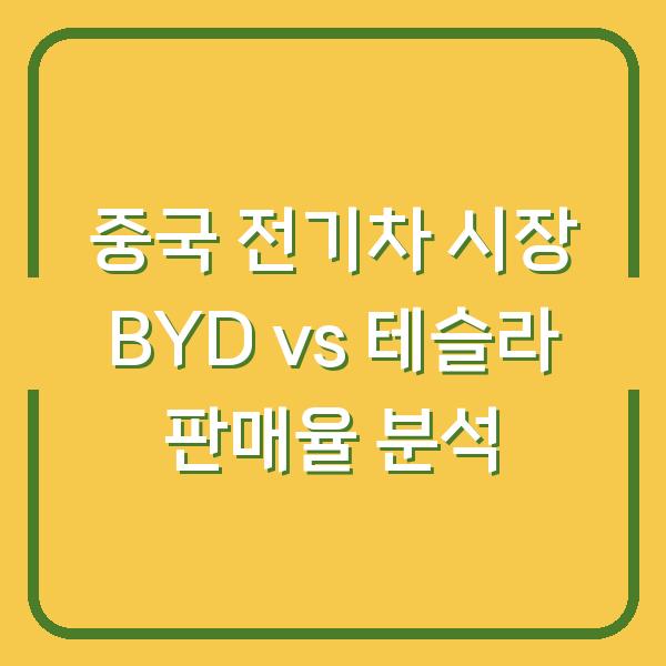 중국 전기차 시장 BYD vs 테슬라 판매율 분석