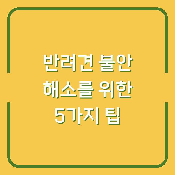 반려견 불안 해소를 위한 5가지 팁