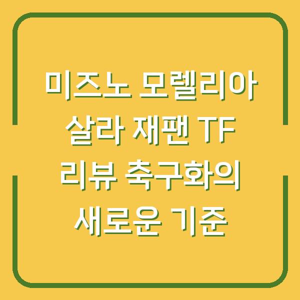 미즈노 모렐리아 살라 재팬 TF 리뷰 축구화의 새로운 기준