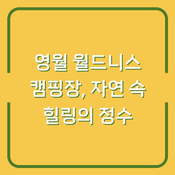 영월 월드니스 캠핑장, 자연 속 힐링의 정수