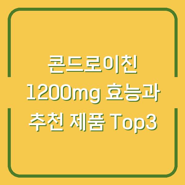 콘드로이친 1200mg 효능과 추천 제품 Top3