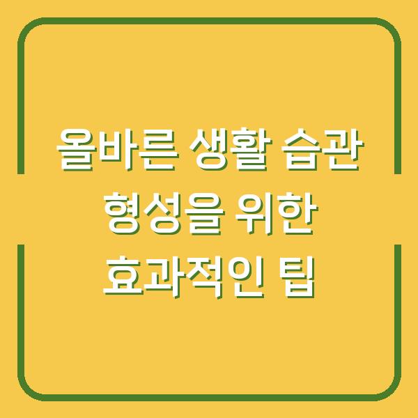 올바른 생활 습관 형성을 위한 효과적인 팁