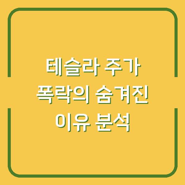 테슬라 주가 폭락의 숨겨진 이유 분석