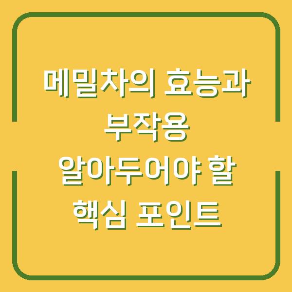 메밀차의 효능과 부작용 알아두어야 할 핵심 포인트