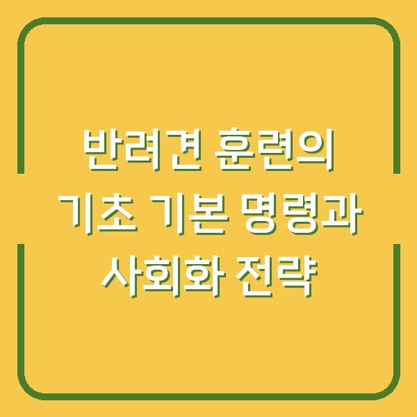 반려견 훈련의 기초 기본 명령과 사회화 전략