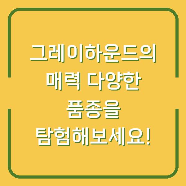 그레이하운드의 매력 다양한 품종을 탐험해보세요!
