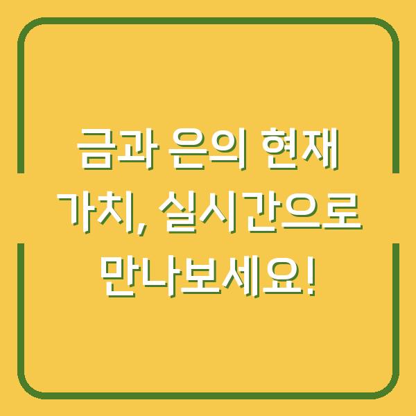 금과 은의 현재 가치, 실시간으로 만나보세요!