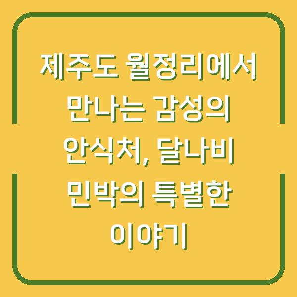 제주도 월정리에서 만나는 감성의 안식처, 달나비 민박의 특별한 이야기