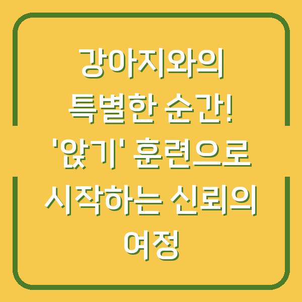 강아지와의 특별한 순간! '앉기' 훈련으로 시작하는 신뢰의 여정