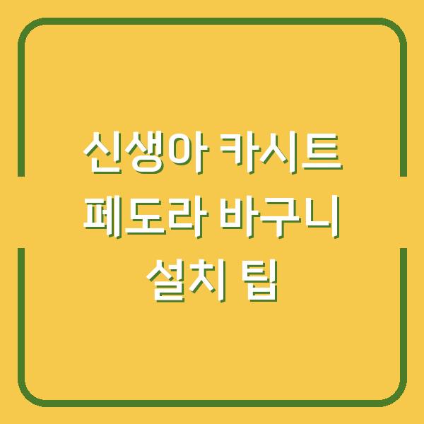 신생아 카시트 페도라 바구니 설치 팁