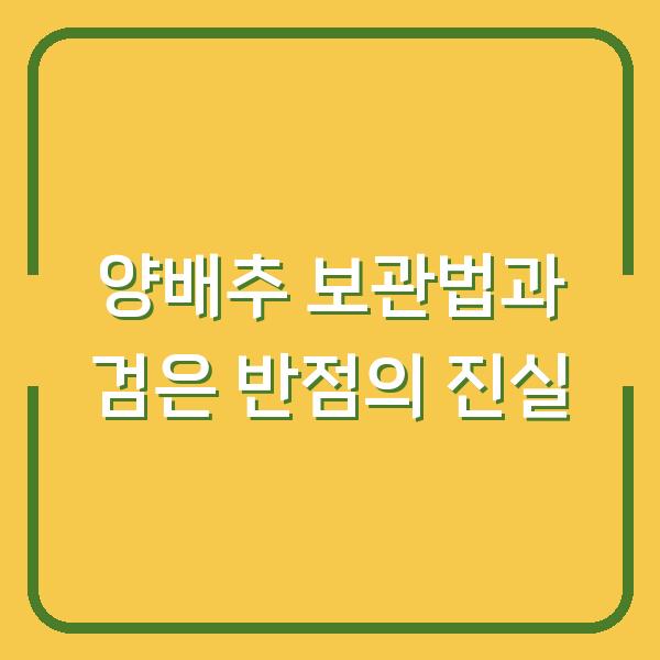 양배추 보관법과 검은 반점의 진실
