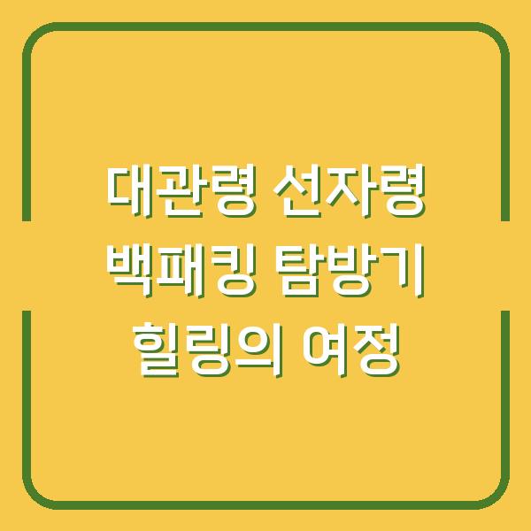 대관령 선자령 백패킹 탐방기 힐링의 여정