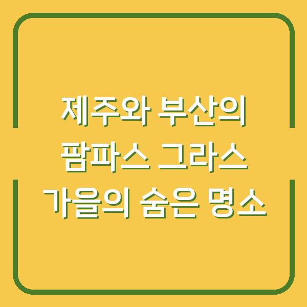 제주와 부산의 팜파스 그라스 가을의 숨은 명소