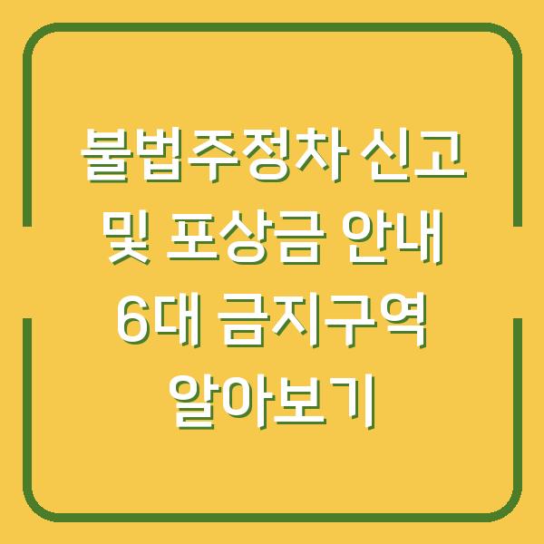 불법주정차 신고 및 포상금 안내 6대 금지구역 알아보기