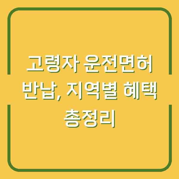 고령자 운전면허 반납, 지역별 혜택 총정리