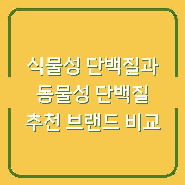 식물성 단백질과 동물성 단백질 추천 브랜드 비교