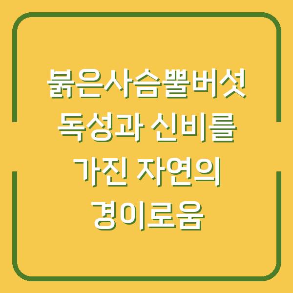 썸네일
