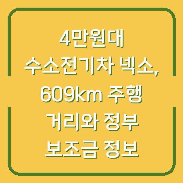 4만원대 수소전기차 넥소, 609km 주행 거리와 정부 보조금 정보