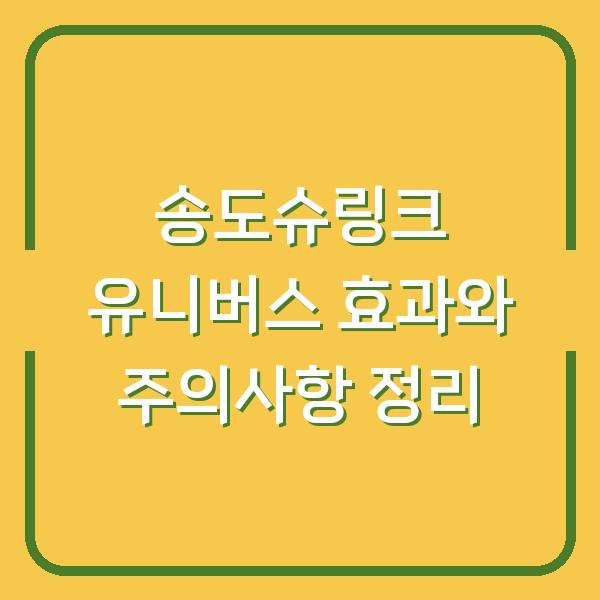 송도슈링크 유니버스 효과와 주의사항 정리
