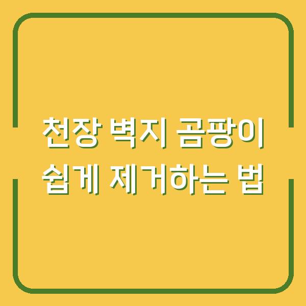 천장 벽지 곰팡이 쉽게 제거하는 법