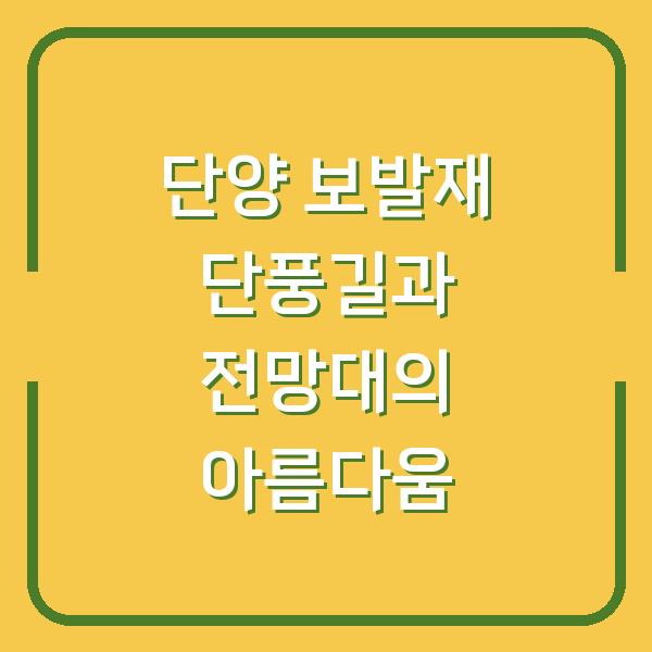 단양 보발재 단풍길과 전망대의 아름다움