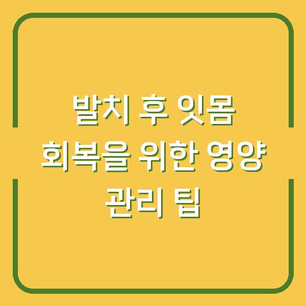 발치 후 잇몸 회복을 위한 영양 관리 팁