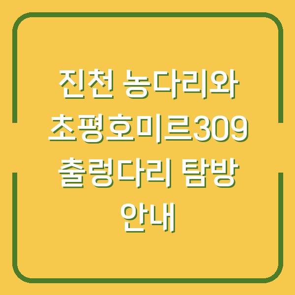 진천 농다리와 초평호미르309 출렁다리 탐방 안내