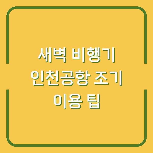 새벽 비행기 인천공항 조기 이용 팁