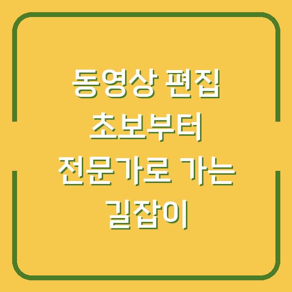 동영상 편집 초보부터 전문가로 가는 길잡이