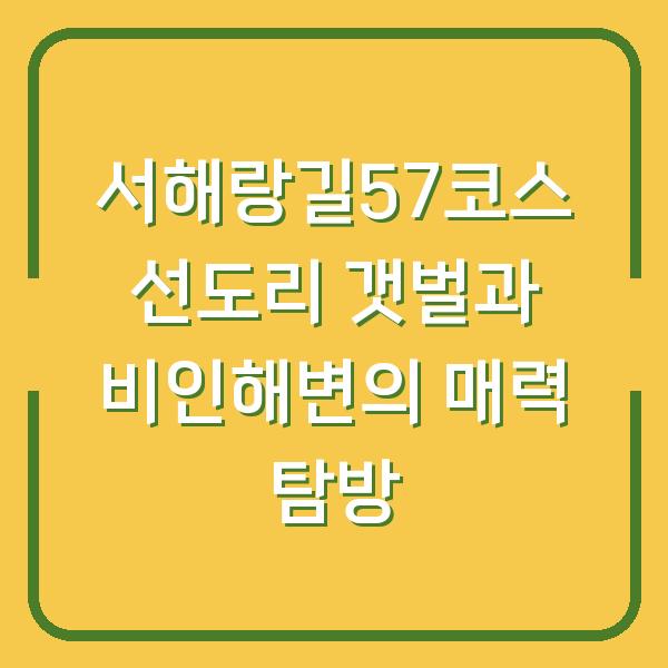 서해랑길57코스 선도리 갯벌과 비인해변의 매력 탐방