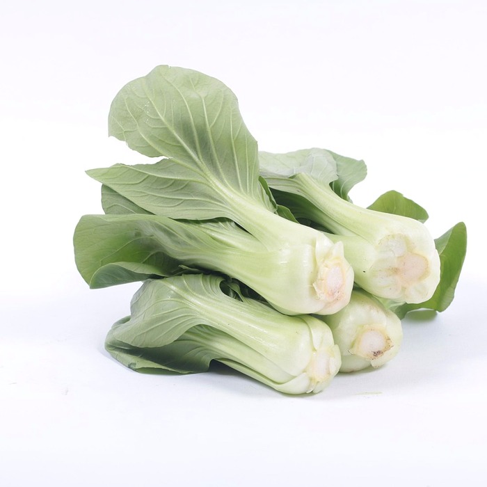 청경채 재료