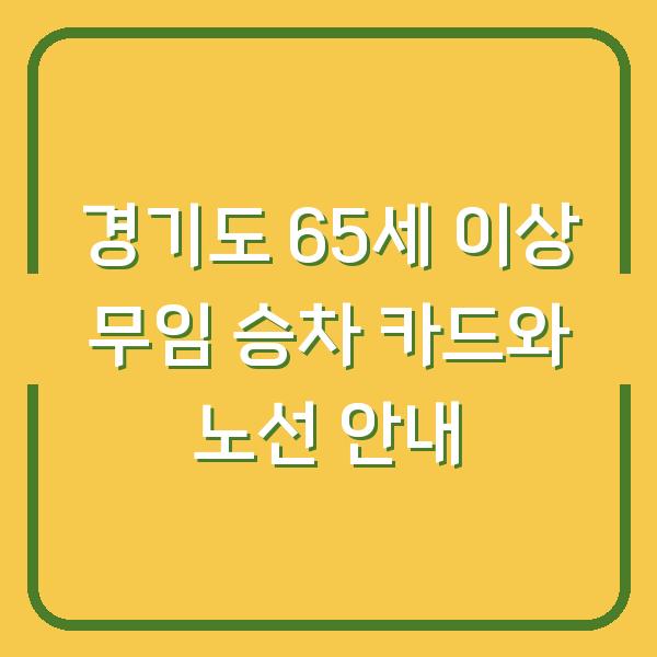 경기도 65세 이상 무임 승차 카드와 노선 안내