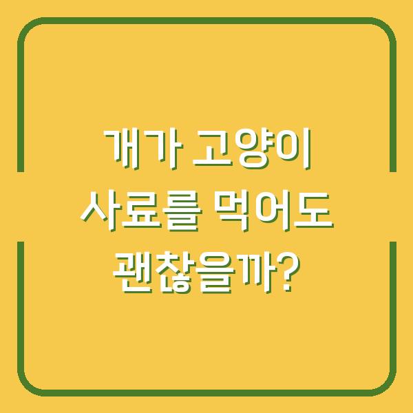 개가 고양이 사료를 먹어도 괜찮을까?