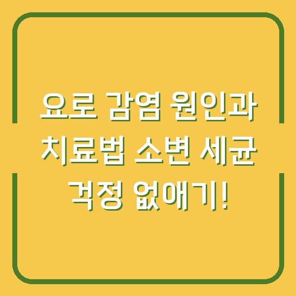 요로 감염 원인과 치료법 소변 세균 걱정 없애기!