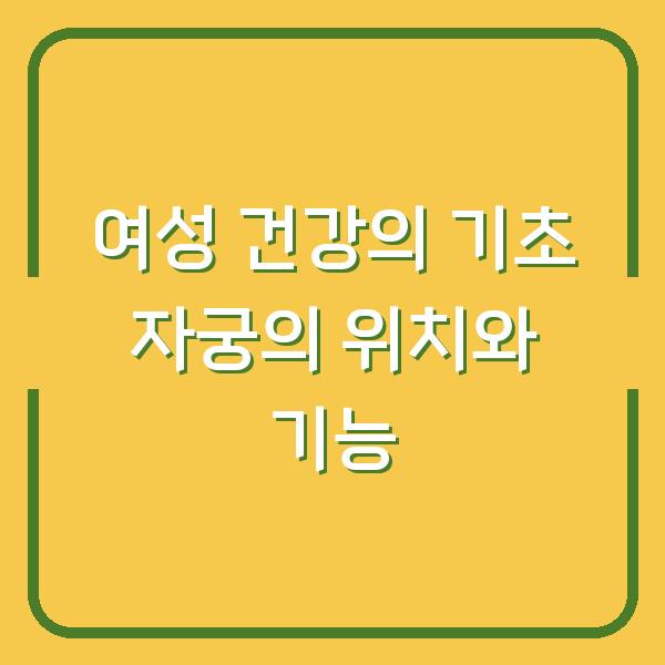 여성 건강의 기초 자궁의 위치와 기능