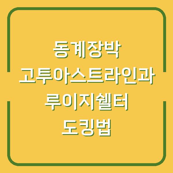 동계장박 고투아스트라인과 루이지쉘터 도킹법