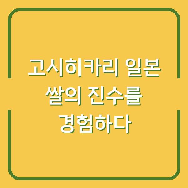 고시히카리 일본 쌀의 진수를 경험하다