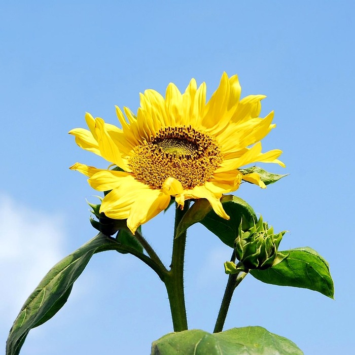 하늘공원 축제