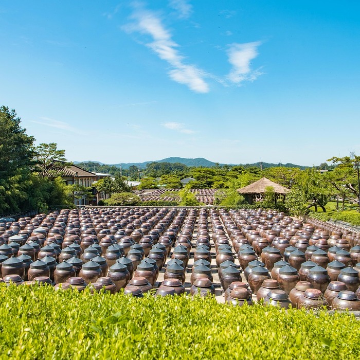 안성 서일농원
