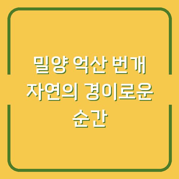 썸네일