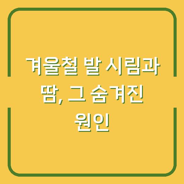 겨울철 발 시림과 땀, 그 숨겨진 원인