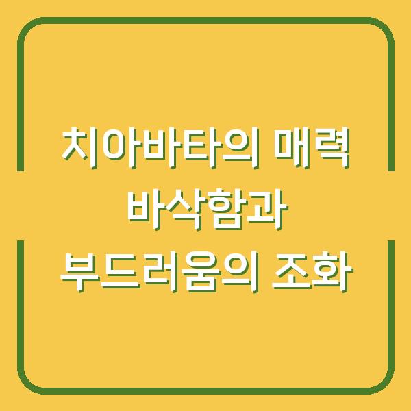 치아바타의 매력 바삭함과 부드러움의 조화
