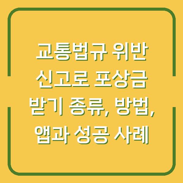 교통법규 위반 신고로 포상금 받기 종류, 방법, 앱과 성공 사례
