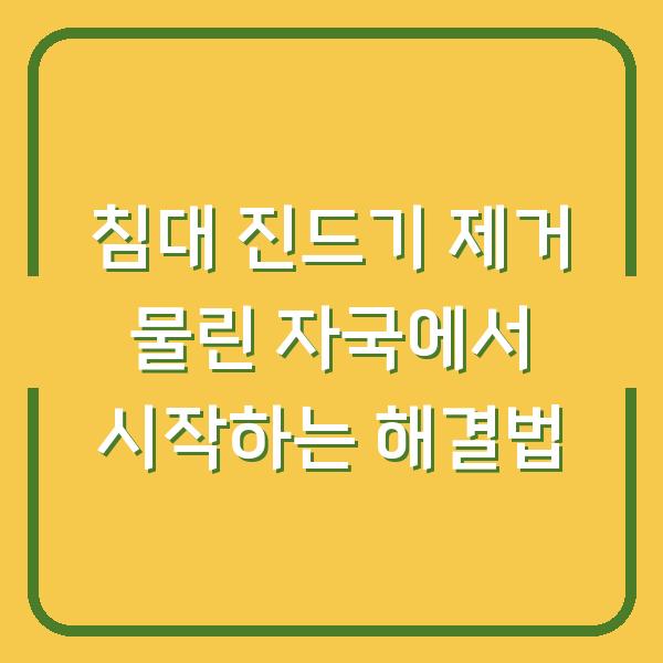 침대 진드기 제거 물린 자국에서 시작하는 해결법