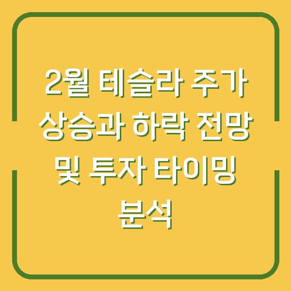 2월 테슬라 주가 상승과 하락 전망 및 투자 타이밍 분석