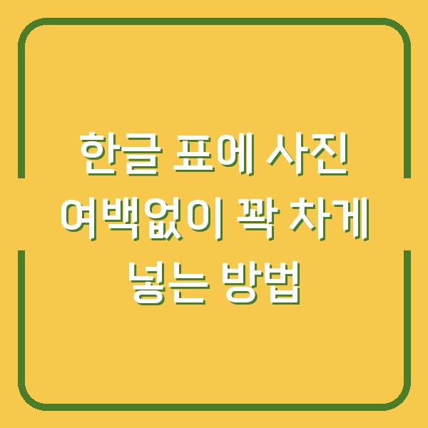 한글 표에 사진 여백없이 꽉 차게 넣는 방법
