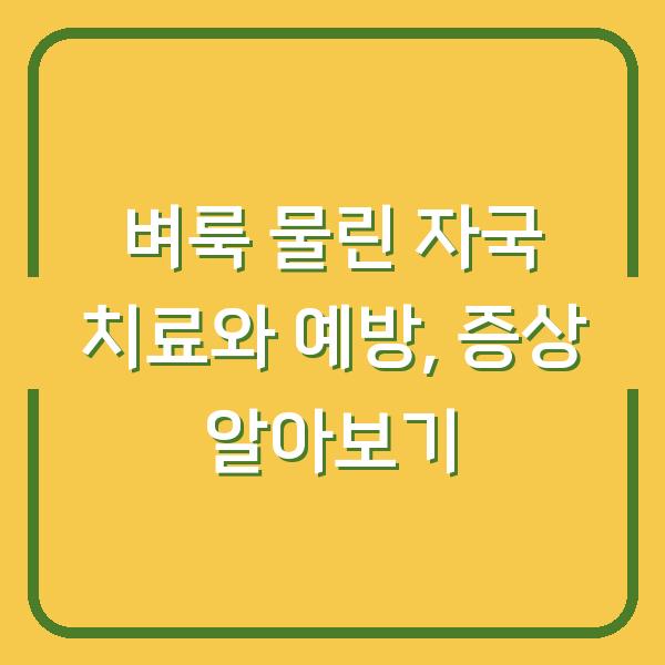 벼룩 물린 자국 치료와 예방, 증상 알아보기