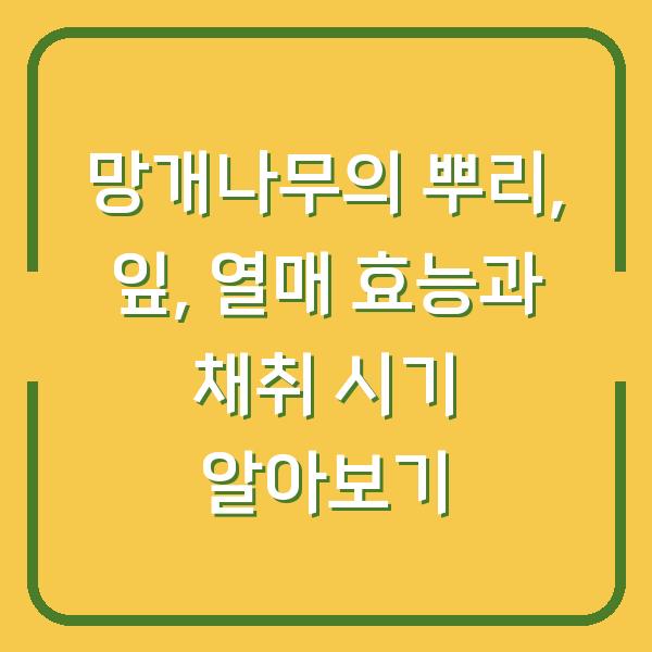 망개나무의 뿌리, 잎, 열매 효능과 채취 시기 알아보기